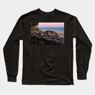 Cat in the sunset on the beach Long Sleeve T-Shirt